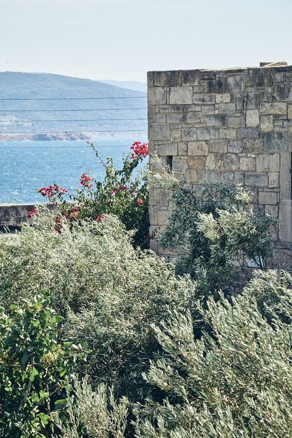 Nikolaou Art Residence Aegina Exteriör bild