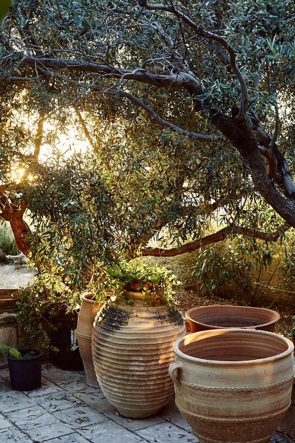 Nikolaou Art Residence Aegina Exteriör bild