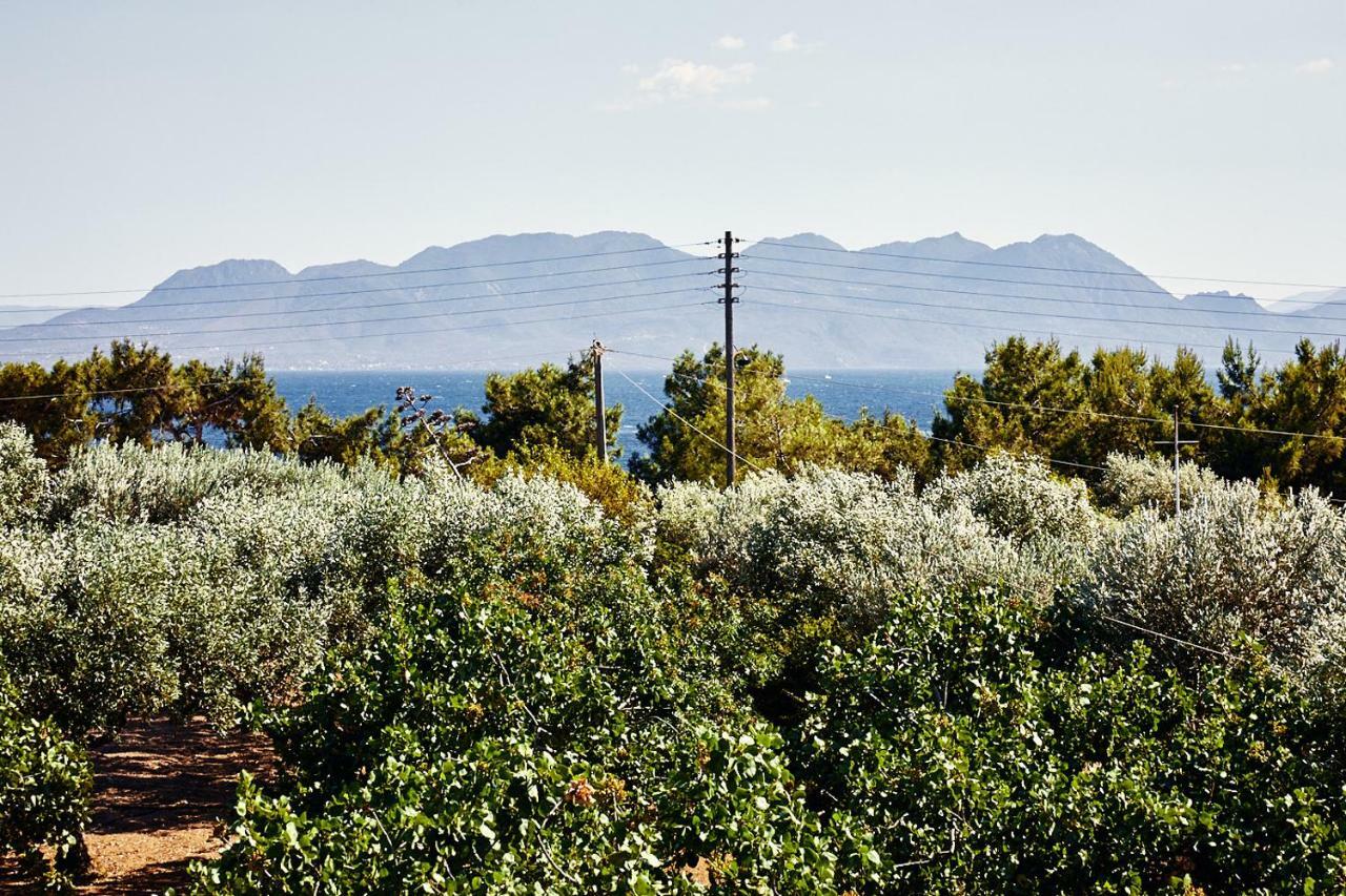 Nikolaou Art Residence Aegina Exteriör bild